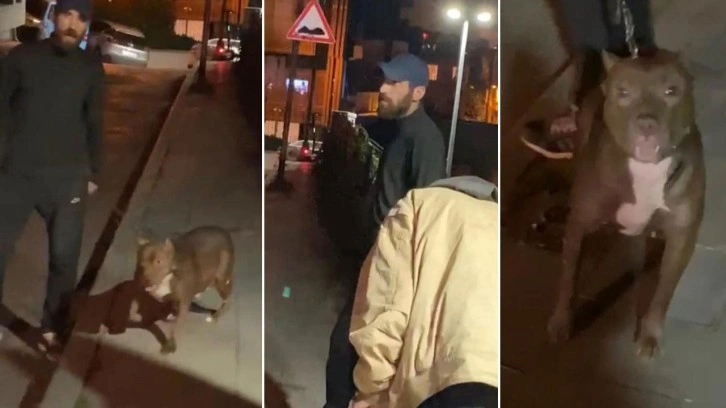 Tartıştığı kişinin üzerine Pitbull köpeğini saldırttı!