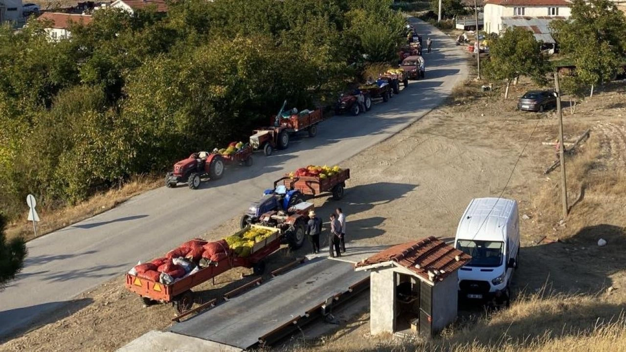 Taze ceviz toptan 25 liraya satılıyor!