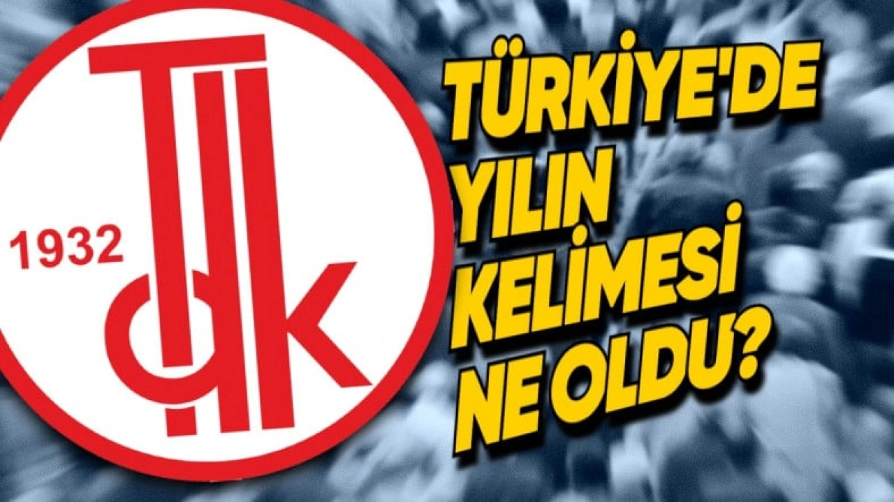 TDK, 2024 Yılının Kelimesini Açıkladı