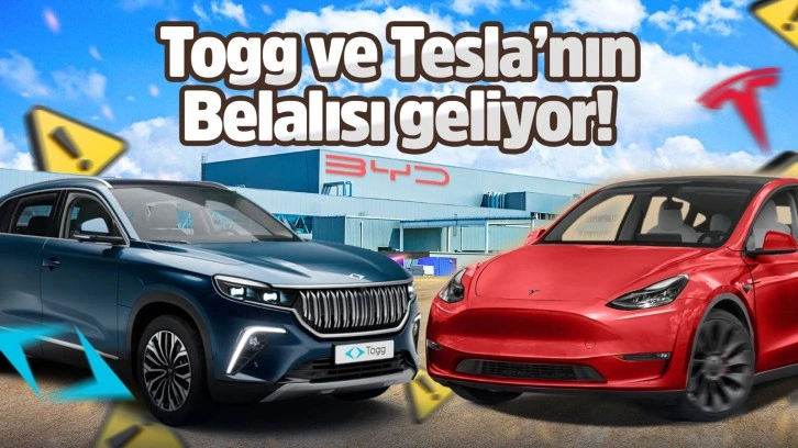 TESLA ve Togg'un belalısı BYD, Türkiye'ye fabrika kuruyor!