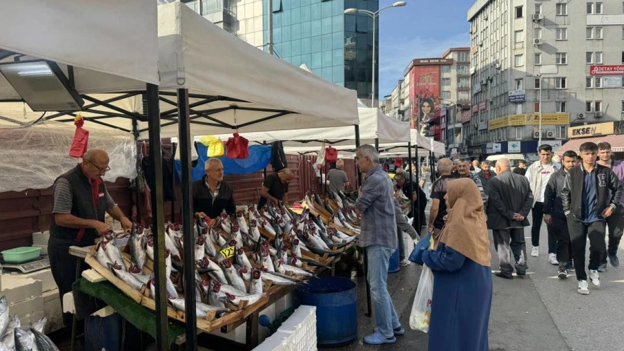 Tezgahların en pahalı balığı mezgit oldu!