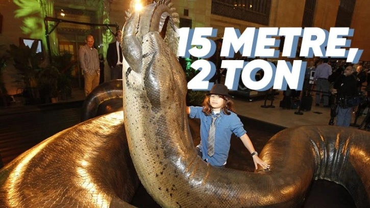 Titanoboa Hakkındaki Ürkütücü Gerçekler - Webtekno