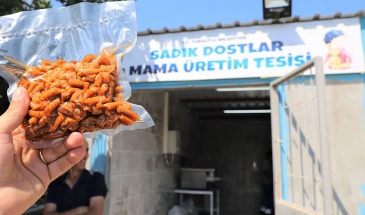 Turgutlu Belediyesi’nden can dostlara mama tesisi