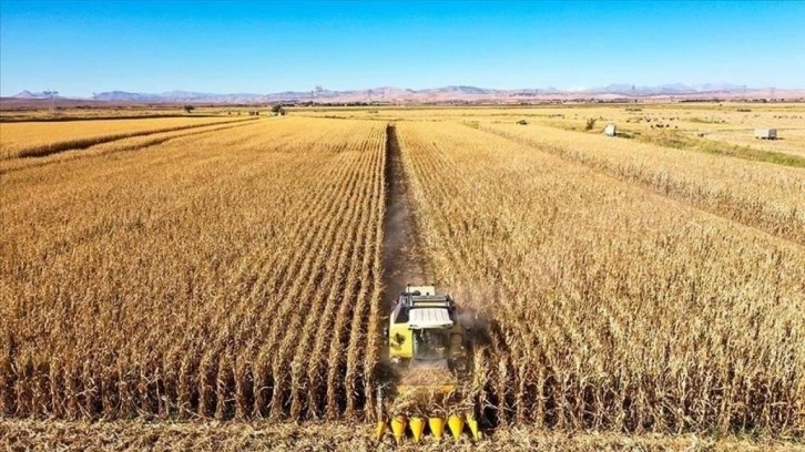 'Türkiye'de Tarıma Dayalı Sanayi'de Rekabet Gücünün Artırılması Projesi' faaliye