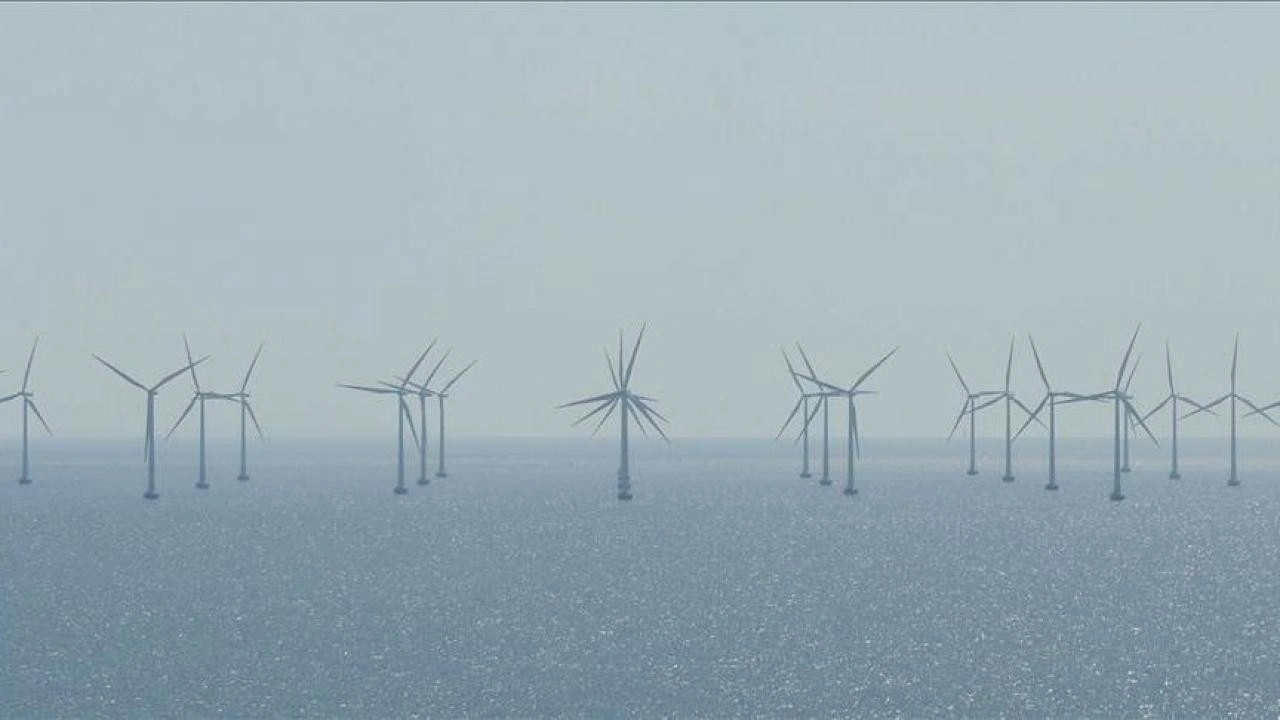 Türkiye'nin rüzgar enerjisi politikalarına övgü! 