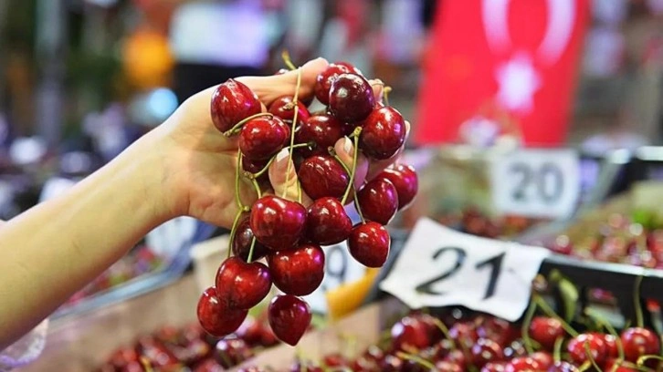 Türkiye’nin üretim lideri olduğu kirazda ihracat rakamı belli oldu