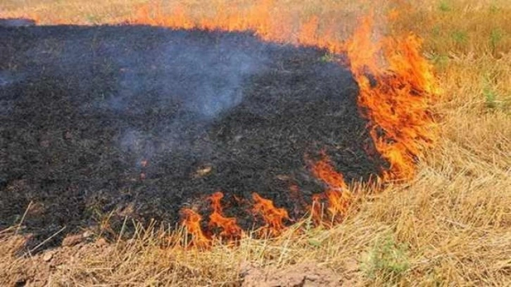 TZOB Başkanı Bayraktar'dan 'anız' uyarısı