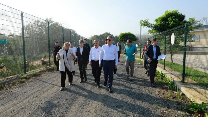 Vali Gül: Amacımız, sokak hayvanlarımızı rehabilite ederek bu sorunu çözmek