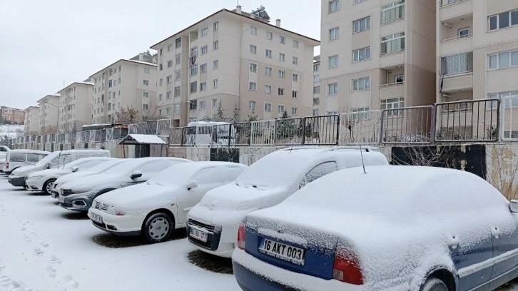 Van'da kar yağışı hayatı olumsuz etkiledi