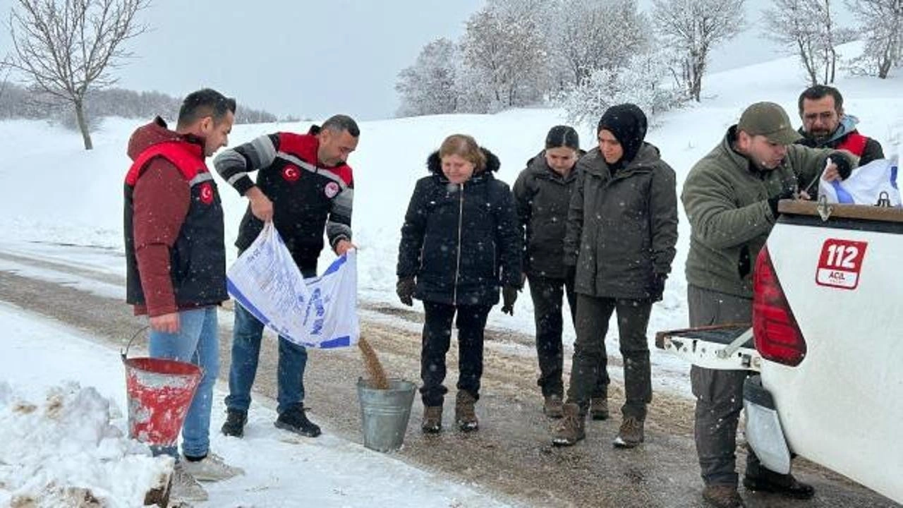 Yaban hayvanları için doğaya yem bırakıldı