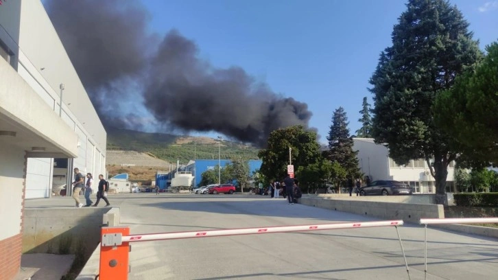 Yat fabrikasında yangın! Alevler birçok noktadan görülüyor