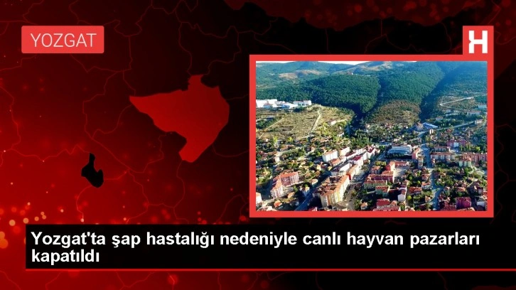 Yozgat'ta Şap Hastalığı Nedeniyle Canlı Hayvan Pazarları Kapatıldı