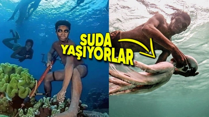 Yürümeden Yüzmeyi Öğrenen, Suda Yaşayan Bajau Kabilesi