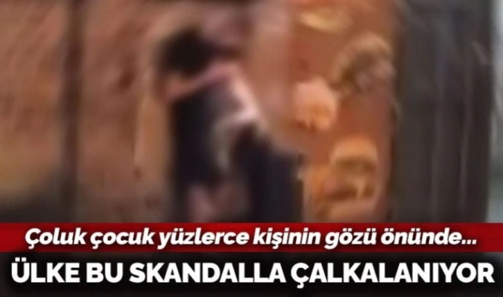 Yüzlerce kişinin önünde cinsel ilişkiye girdiler