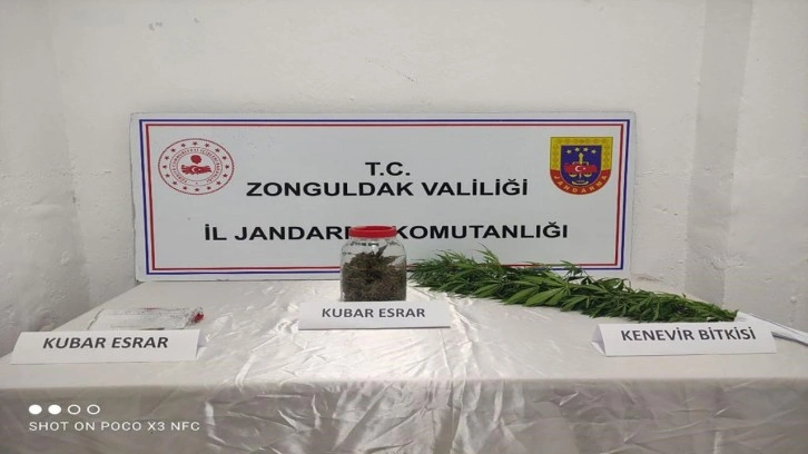 Zonguldak'ta jandarmadan uyuşturucu operasyonu!