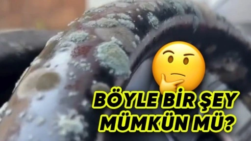 2 Ay Branda Altında Kalan Otomobil Küflendi [Video]