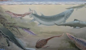360 milyon yıl önce yaşamış dev balık keşfedildi