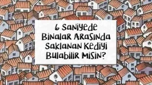 6 saniyede binaların arasında saklanan kediyi bulabilir misiniz?