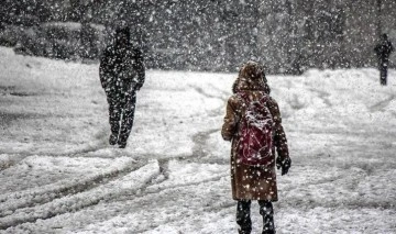 6 Şubat'ta Bitlis'te okullar tatil mi? 6 Şubat'ta Bitlis'te kamu çalışanları izi