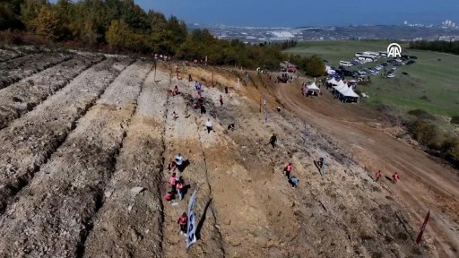 81 ilde 2,2 milyon fidan toprakla buluşturulacak... Samsun'dan başladı