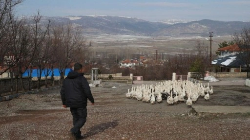 9 yıl önce marketini satarak bu işe başladı! Parayı da buldu huzuru da