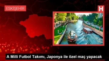 A Milli Futbol Takımı Japonya ile Özel Maçta Karşılaşacak