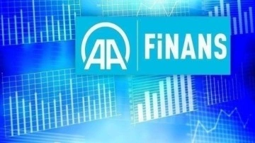 AA Finans Ödemeler Dengesi Beklenti Anketi sonuçlandı