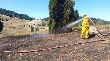 Adana'da ormanlık alana sıçrayan anız yangını kontrol altına alındı