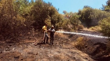 Adana Kozan'da çıkan orman yangını kontrol altına alındı!