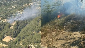 Adana'da ikinci orman yangını: Ekipler hem karadan hem de havadan müdahale ediyor!