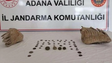 Adana&rsquo;da mamut fosili ele geçirildi