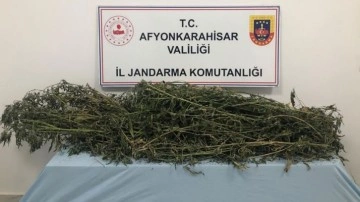 Afyonkarahisar'da uyuşturucu operasyonu! 2 bin 646 gram esrar ele geçirildi