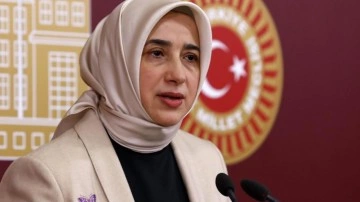 AK Partili Özlem Zengin: Annenin, babanın ve failin ceza alması yetmez