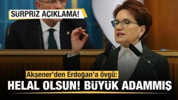 Akşener'den Cumhurbaşkanı Erdoğan'a övgü: Helal olsun büyük adammış