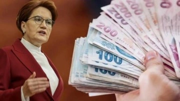 Akşener'den iktidara EYT çağrısı: Staj ve çıraklık mağduru insanların haklarını verin