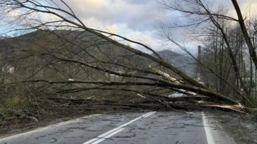 Aman dikkat! Meteorolojiden 4 bölge için fırtına uyarısı