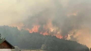 Ankara'da başlayan yangın Gerede'ye sıçradı: Vatandaşlar tahliye edildi!