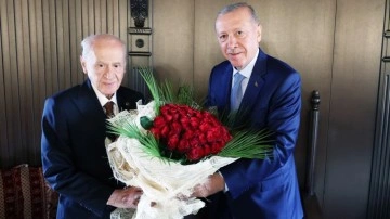 Anlamlı hediye! Cumhurbaşkanı Erdoğan, Devlet Bahçeli'ye 76 adet gül verdi