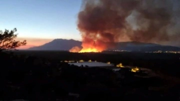 Antalya'da çay kenarında sazlık ve ağaçlık alanda yangın