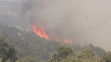 Antalya'da orman yangını! Havadan ve karadan müdahalede devam ediyor