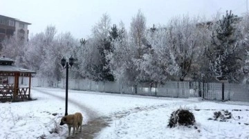 Ardahan'da soğuk hava etkili oldu! Termometreler eksi 14,8'i gösterdi