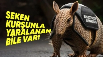 Armadilloların Derisi Nasıl Oluyor da Kurşun Geçirmiyor?