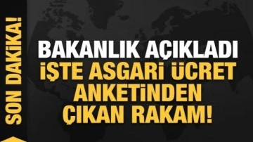 Asgari ücret için en kritik rakam açıklandı: İşte anketten çıkan zam oranı