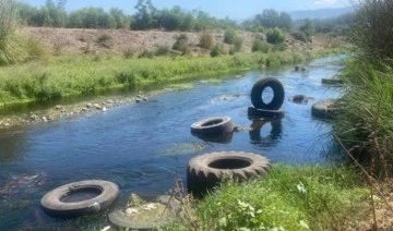 Atık lastiklerin bırakıldığı Karaçay Deresi'nde 'balık' ölümleri