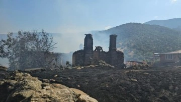 Aydın'da yangın: 10 ev küle döndü!