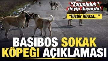 Bakan Koca'dan son dakika başıboş sokak köpeği açıklaması! 'Zorunluluk' deyip duyurdu
