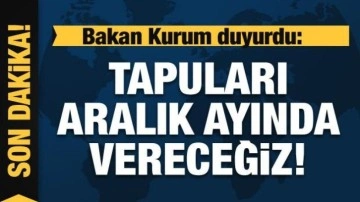 Bakan Kurum duyurdu: Kurada çıkan sadece birini tercih edecek