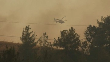 Bakan Mehmet Özhaseki'den Çanakkale'deki orman yangınına ilişkin açıklama