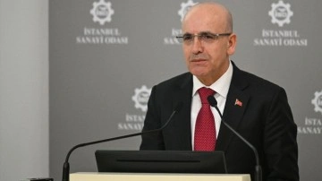 Bakan Şimşek: 2025 dezenflasyon yılı olacak