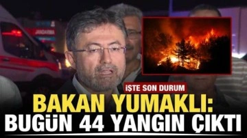 Bakan Yumaklı'dan orman yangını açıklaması: Türkiye genelinde 44 adet yangın çıktı